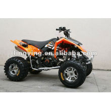 EEC 300CC estándar adulto quads moto/quad